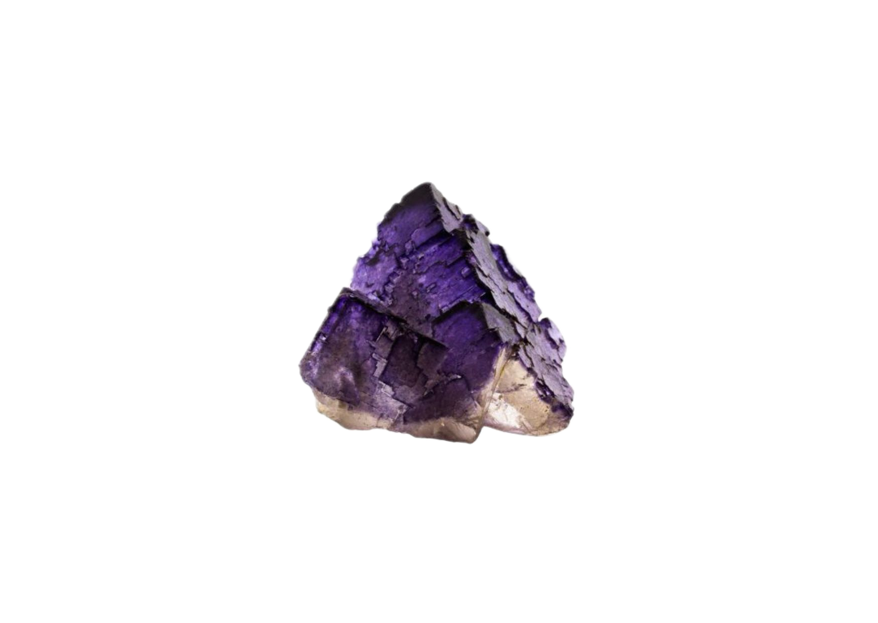 fluorine violette