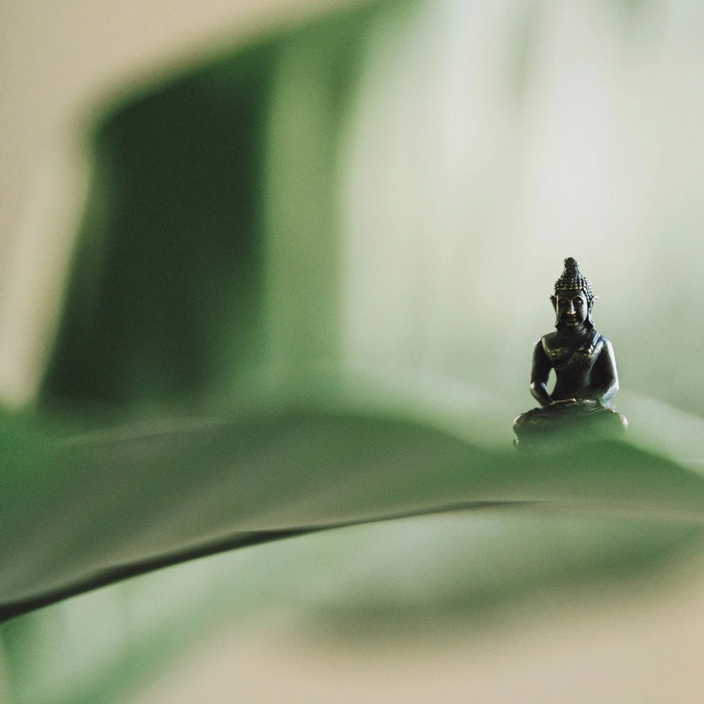 petit bouddha zen