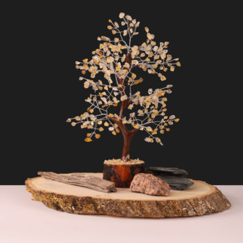 VWrs3GimR0YRKBfjpNwKpuGCDiw3DMb2urzQlM4thHI