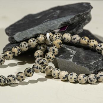 Bracelet Jaspe Dalmatien 'A' perles 8mm 7 UQ3qnE4KqiHmM7bUQu5cweV98vZNHZ08u7CadU7 tbA