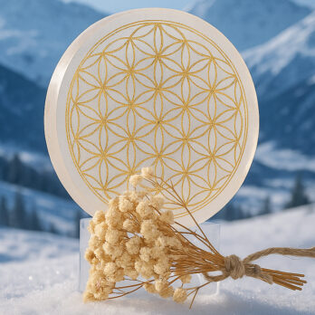 Pack "Un Noël Purifié" 9 DCF1a VXyiwzaA9z9vch9tS enCYiksWsvQKHggTrAc