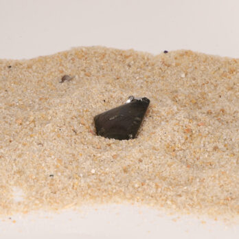 IkwYJ4gf0SPvmnSJeAd4MRKB1BEgmtzVDaJ1RInalys