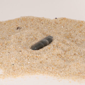 QJau84 aVHOz5gdEH4pstIE57zi7HtBC1FL3e KMXQ8