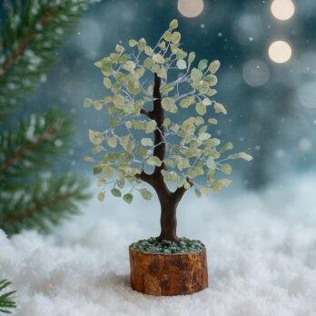 Pack "Un Élan de Chance" 9 XvUH1itXbex0R4 Kwg3uhxdoM8plah377L 4EytApeI