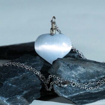 hrwGM6Lm7w F2wbai2uCYd mJTcnweANKs6cPNTyrN8