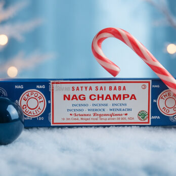 Pack "Harmonie de Noël" 10 o6CvD6E0wQU1XushLj1OmC7qirOMt6y4K6YJBAOrkcQ