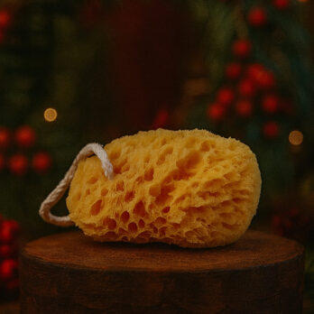 t IAj1QqwGozq15Kl4RbkX6TvHAvStZ5Ao6OcxLY67U