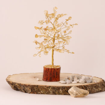 Arbre du bonheur Citrine 19cm 6 AR 6rBTqeUE7ApdXDGJOOvvlQNqMk3oTltVN9jam3T4