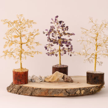 Arbre du bonheur Cristal de Roche 19cm 9 UWyEtYbUKPwUyu6AIQG8kBIP w 148TuA Rx0rkTXsY