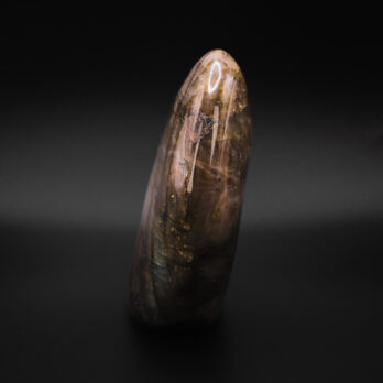 Labradorite Visionnaire 10 CrqM5a oAD5T7mDuOZQUXamkC6z0qDj7 55lPly5dkU