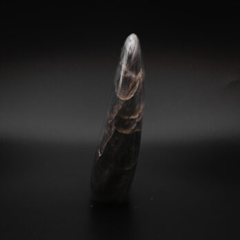 Labradorite Équilibrante 10 ML3xL flwUGpb riyfSCyFNS1DHZPzo6pKX59EWgxUQ