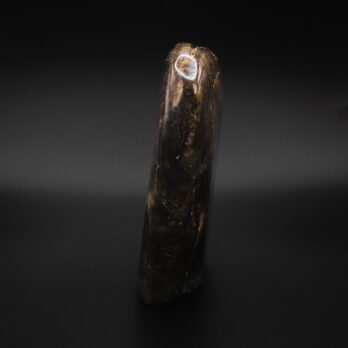 Labradorite Bleu Nuit 10 QgryW1jTGrQMCqJk0j5N8so pKmX YBa7b10quQxAFM