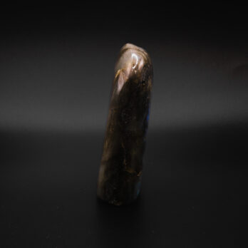 Labradorite Renaissance 10 TcroMsS RmdQ 0GZZJZ3 Tsi1gtvkaYOJiIQKMk5Gts