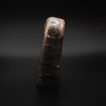 Labradorite Ancrée 10 XU9UrpJujV1KZbGzVzHqc aD8bYNNUDEcRgmOYZhbDM