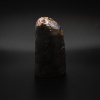 Labradorite Équinoxe 11 pvIPZ17Lwx660JXmew2hOMeOAu02xk6Bha5f0j ifQ8