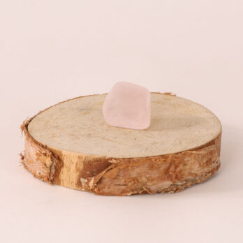 Kit Mauvaises Habitudes 12 2U u28XgxMRvP0uFxCtv6 qlPxn2Ij9HPuRQ1GbF7dg