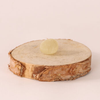 Kit Chance 13 3gZVQLtXMvZjzBqalGSX0QiO57RzsXWs nccFQbs8XM