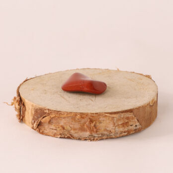 Kit Créativité 13 81iiqrGoFw0KgiPr4c1IFwGbl kuZxYuoiYVbzGaO5w