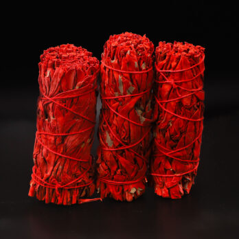 Lot de 3 Sauges Sang de Dragon