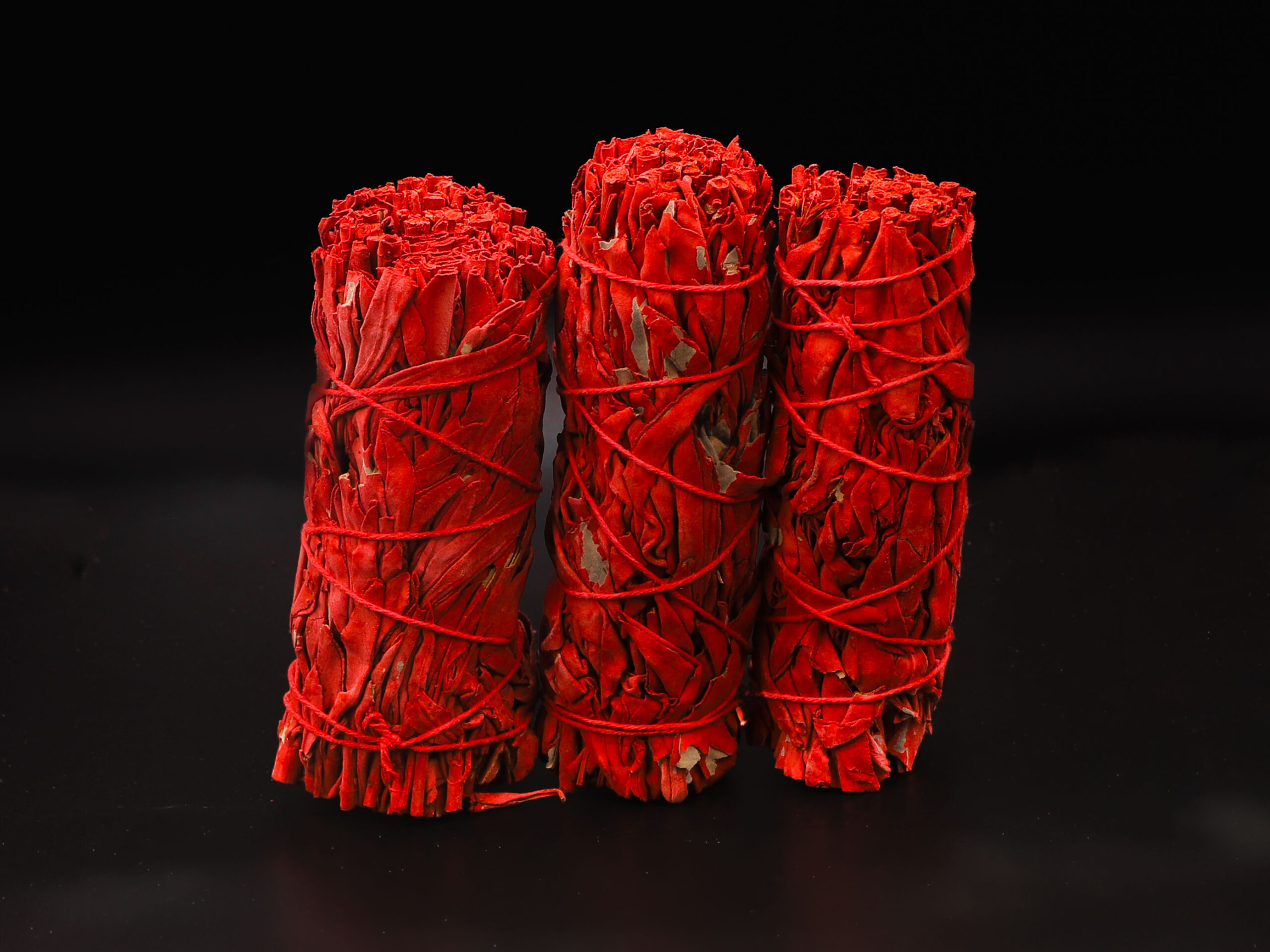 Lot de 3 Sauges Sang de Dragon