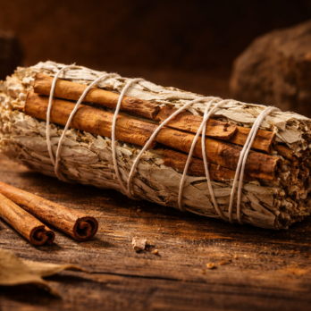 FjEilmPD9ekefedP083QxEBONE5MZKxo TTztPPcudY