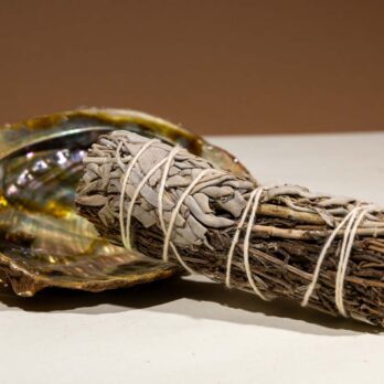 Sauge Blanche & Lavande fagot