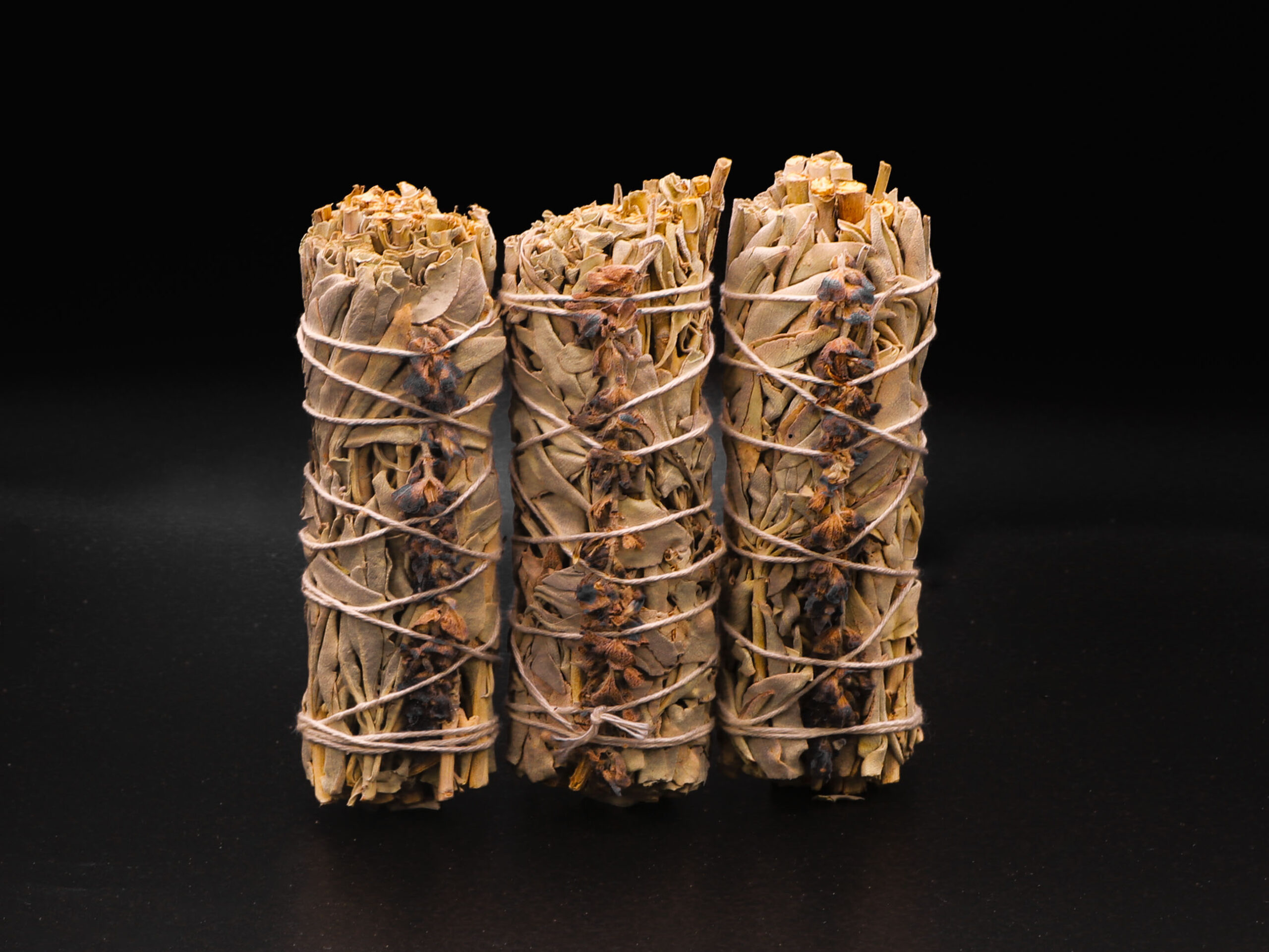 Lot de 3 Sauges Blanche & Lavande 19 Lot de 3 Sauges Blanche & Lavande