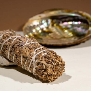 Sauge parfumée Lavande