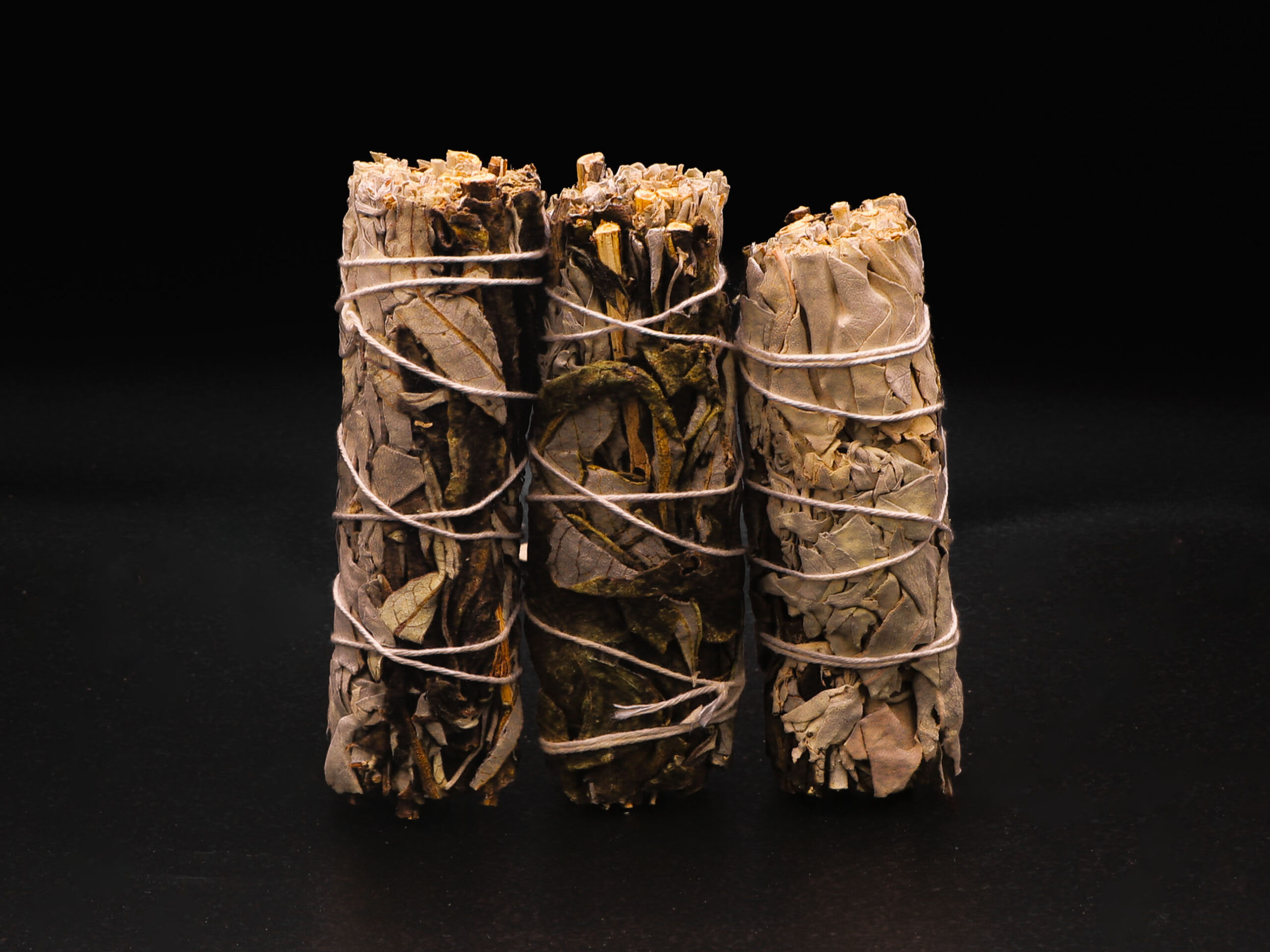 Lot de 3 Sauges Blanche & Yerba Santa 17 Lot de 3 Sauges Blanche & Yerba Santa