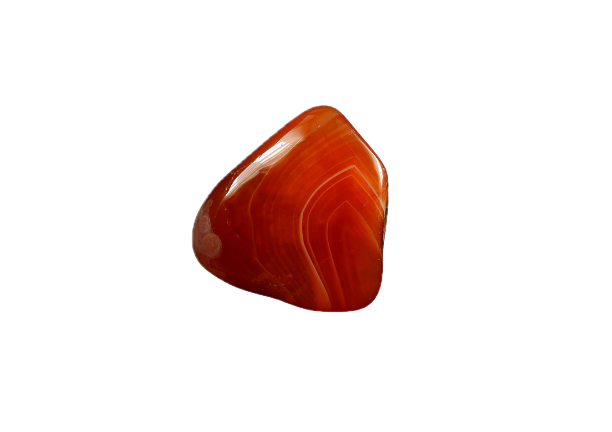 cornaline avec arrière-plan supprimé 5 cornaline avec arriere plan supprime 1