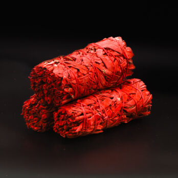 Lot de 3 Sauges Sang de Dragon 7 cp06VmgczkWDNXfBQY4r3xo77OQVs2CpVxASZXnVKac