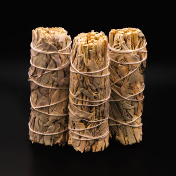 Lot de 3 Sauges Blanche