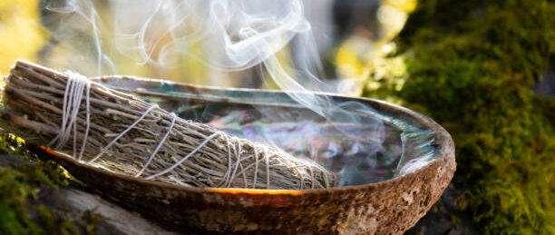 Les vertus de la sauge 15 istockphoto 1460937551 612x612 2 e1773924029289