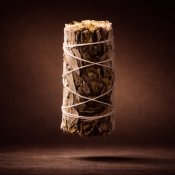 Lot de 3 Sauges Blanche & Yerba Santa 8 lLmuogOiganwZFwKvA6Lh4H83TfLU BT5ZuymJmz f4