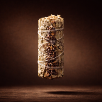 Lot de 3 Sauges Blanche & Lavande 8 mQBISmrmcJOASlX0RA4T77zKkv70yI7ZQnhscuoUEO8