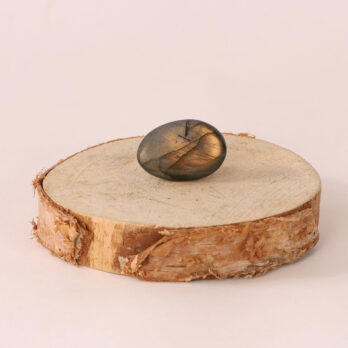 Kit Intuition 15 o8Md7FuLQhUJQsVJT1cM8GfFi6VS1U8tv7dVtg4I5xA