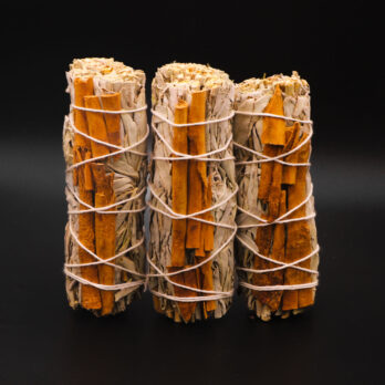 Lot de 3 Sauges Blanche & Cannelle