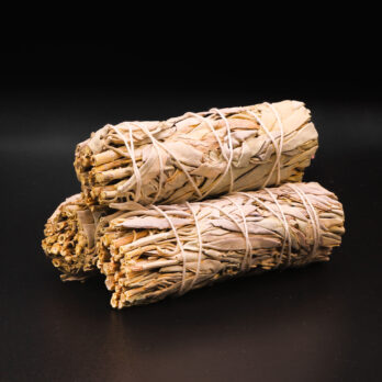 Lot de 3 Sauges Blanche 7 wokEUZcNOKwpTEI6SFrcgDyHDB0dGb28qH5vzYZZzTA