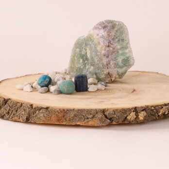 Kit Communication 8 y5sDD2X6md0prxEUhXCvpFJpm85HxuyLFZxbZ8JToe8