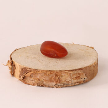 Kit Maternité 10 y8I9XJ0Y1jcVXkB3X37750WwQFaWLa74ASBP3fle3AA