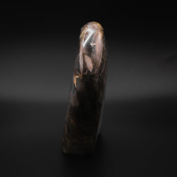 Labradorite Sereine 12 0RfDfaV6B6ma6xBqzEVR3l4F9 XHSlk4 ej24OPA5LM