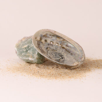 Coquille d'Ormeau Naturelle 8 1YZhcWwPTnPvVwBVdrHL8Bf7x8phUBoAErf1pWeIHDE