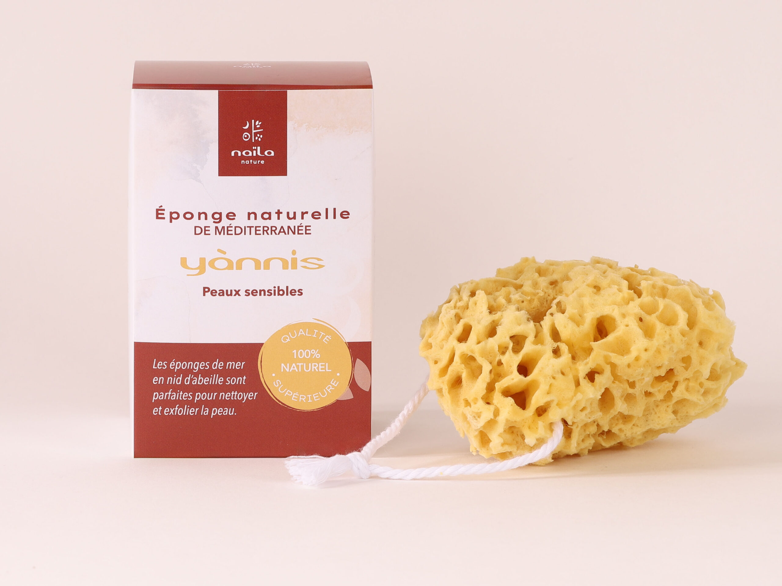 Éponge de mer Yannis Grand format