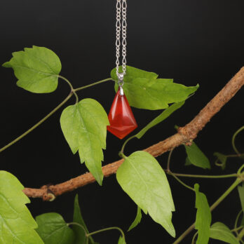 Pendentif cerf volant Cornaline 7 7kGD9s8v4d6r2Qr4YAcdV9AZF3T2lmGtbfiqf5LVMkw