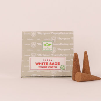 Lot de 5 encens Satya sauge blanche en cônes