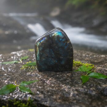 Labradorite Introspective 9 G2t74YQ6spp4FARJDVPzdSjqtk66kGYu6X GmPGM0zk