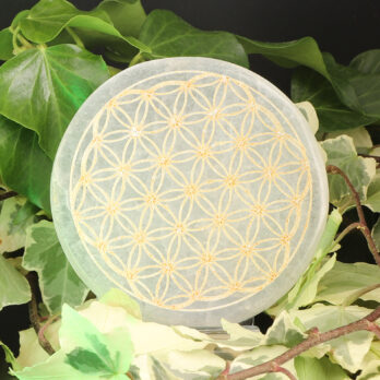 Plaque de rechargement ronde en sélénite Fleur de vie dorée 10cm 8 fa7fbRHGIfSC8vWwqZOe0gf84SlpfD0aRga78MJFEto
