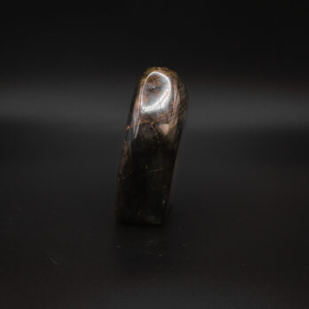 Labradorite Reflet d’Âme 12 iJ7WogFRYlTQGwt8ZvbFW9rcajt Vijkfmg6aN8vyFo