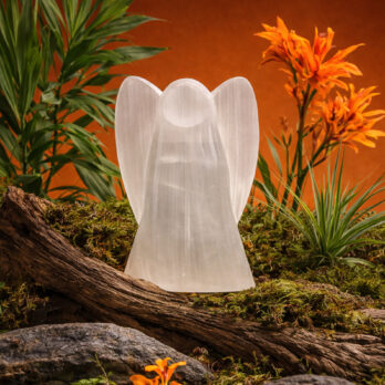 Lampe ange en sélénite 7 kCFPQtjCJ7BtMN8C06J UUz wVsS6Gz4wOELyy2yk6c