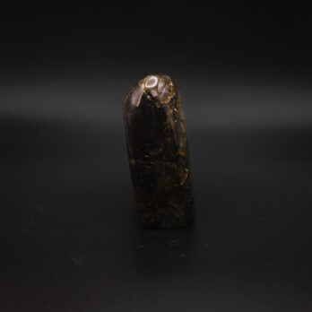 Labradorite Onde Claire 12 kvtX3R6mQViKm7poux it EwCUEmqC9cO2KYYk27FXk